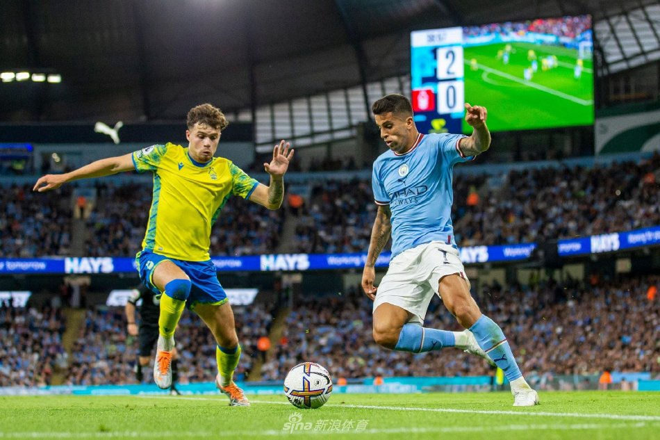 荷兰队已经 荷兰队已经